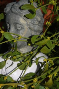 DDame versteckt hinter Mistel