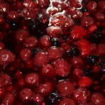 Früchte