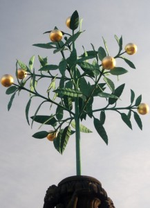 Orangen